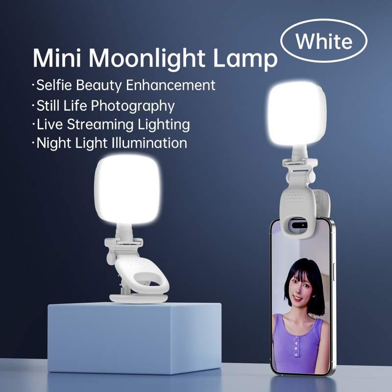 Portable LED Selfie Light Came - Photography Lighting Continuous 评论和价格