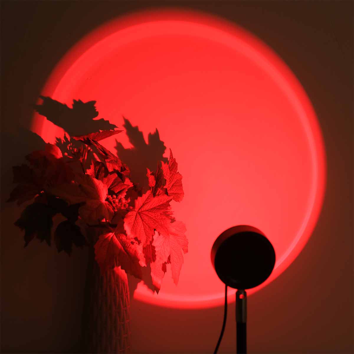 Sunset Projection Light Remote - Photography Lighting Wall 评论和价格